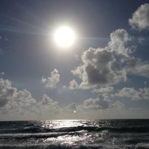 Meet your Posher, Shirley